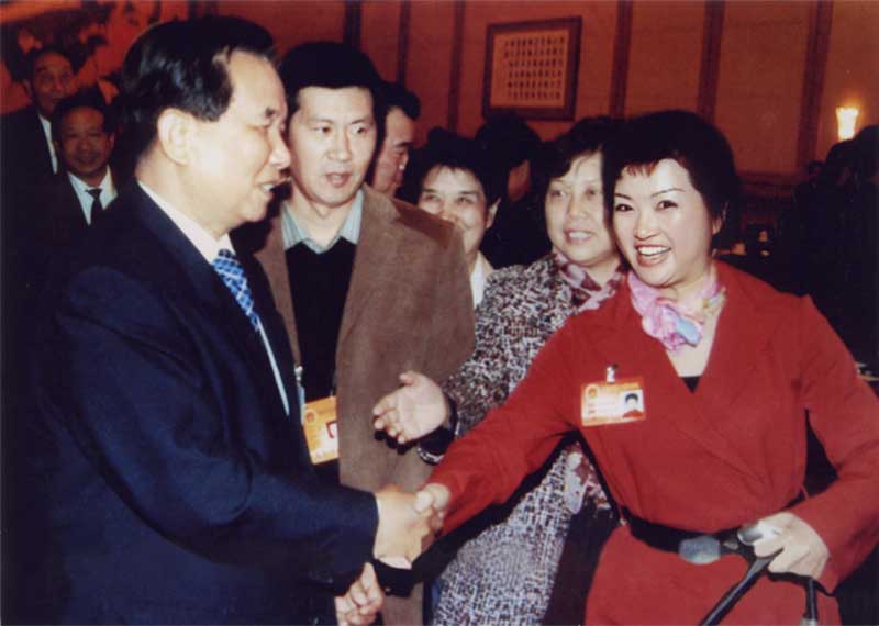 中央常委中纪委书记吴官正接见陈新琴