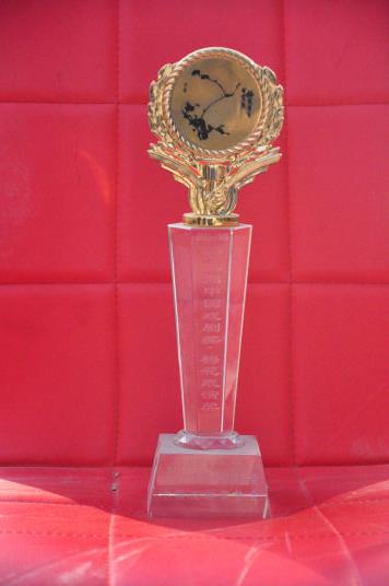 梅花奖奖杯及纪念品